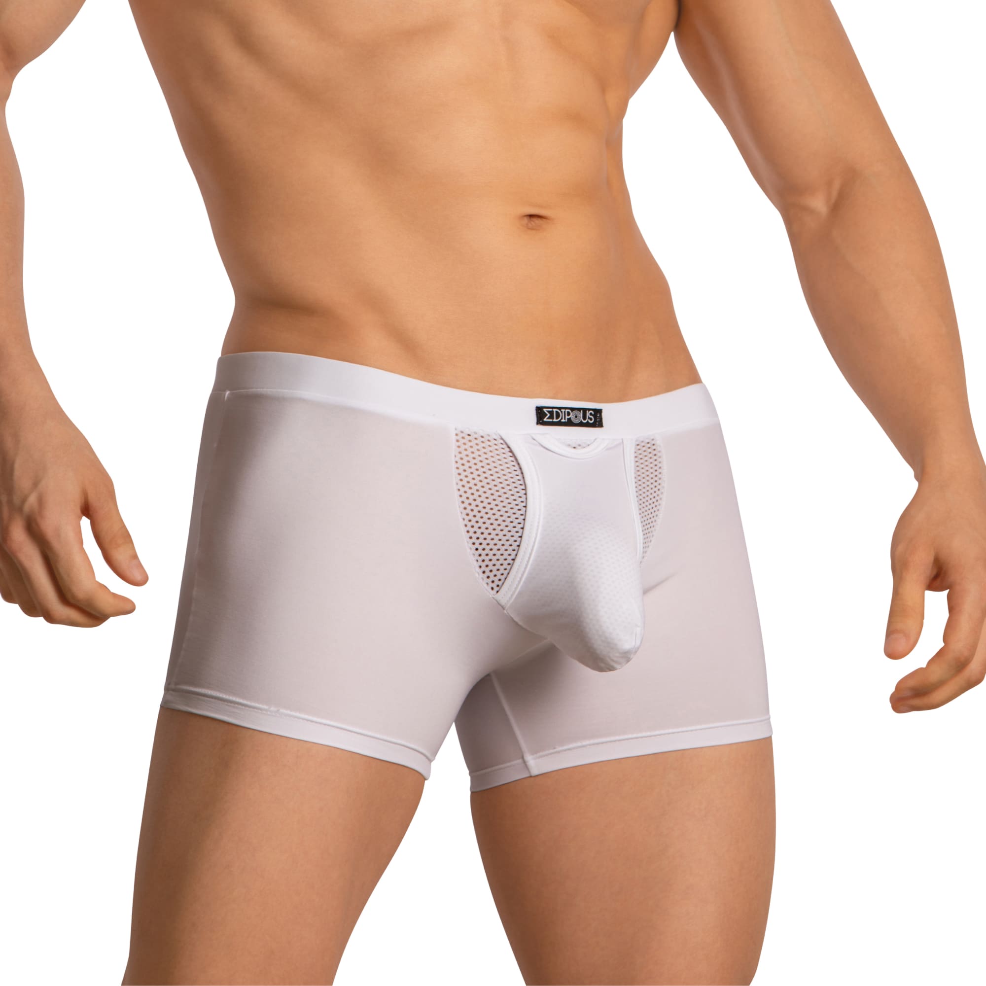 Edipous EDG035 Boxer