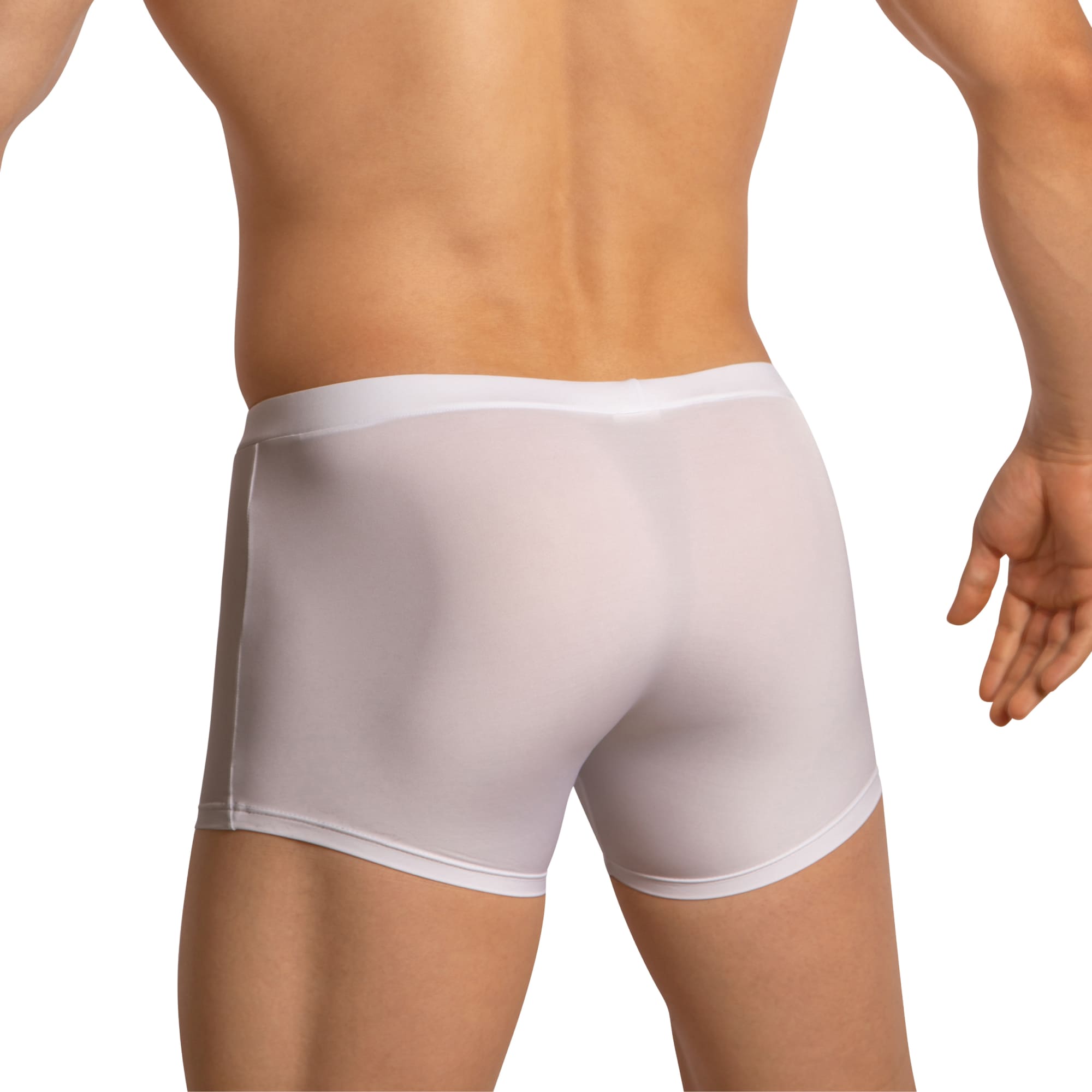 Edipous EDG035 Boxer