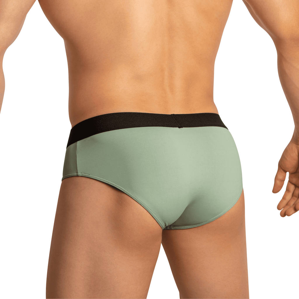 Edipous EDJ023 Brief