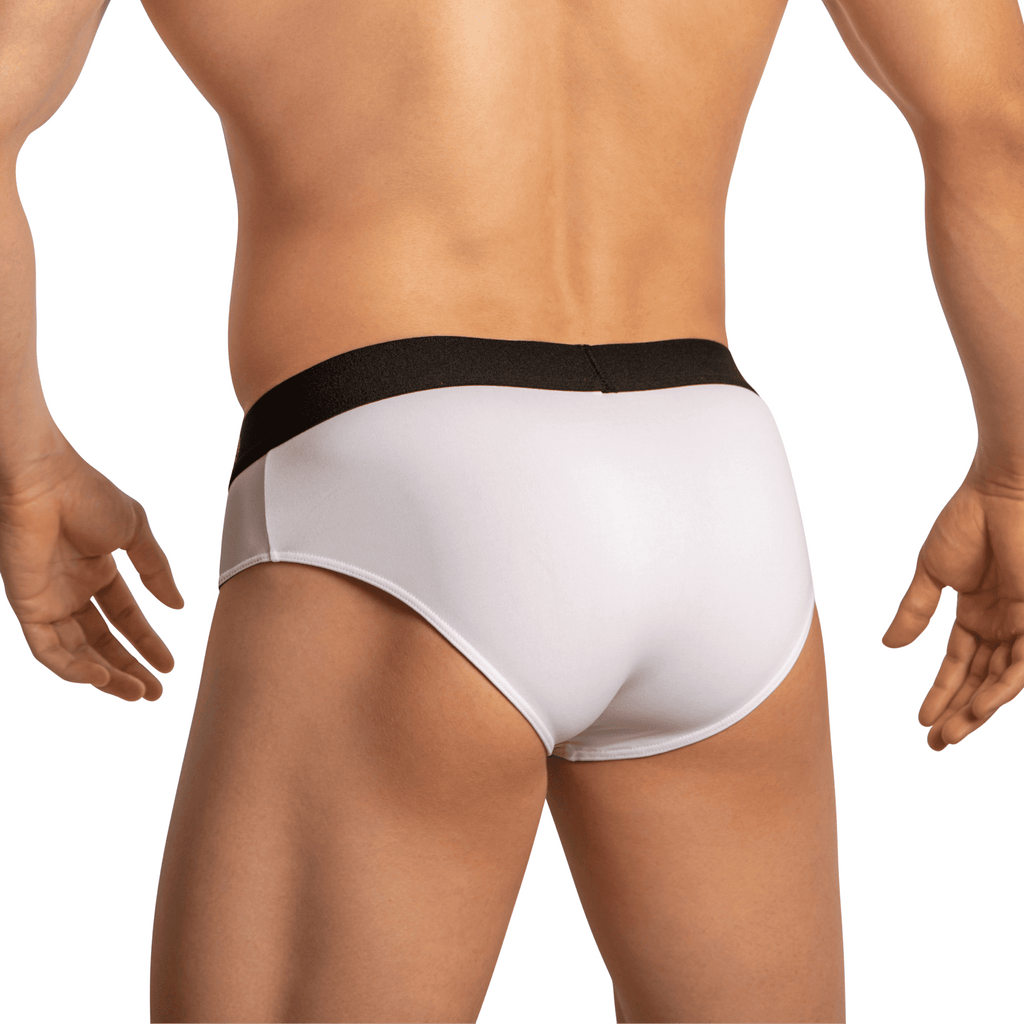 Edipous EDJ023 Brief