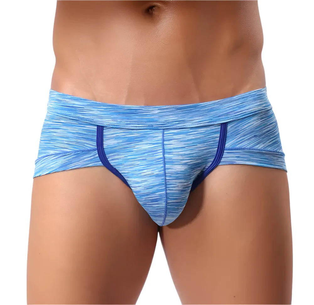 The Leroy — Men's Classic Brief | Branded Waistband, Full Rear