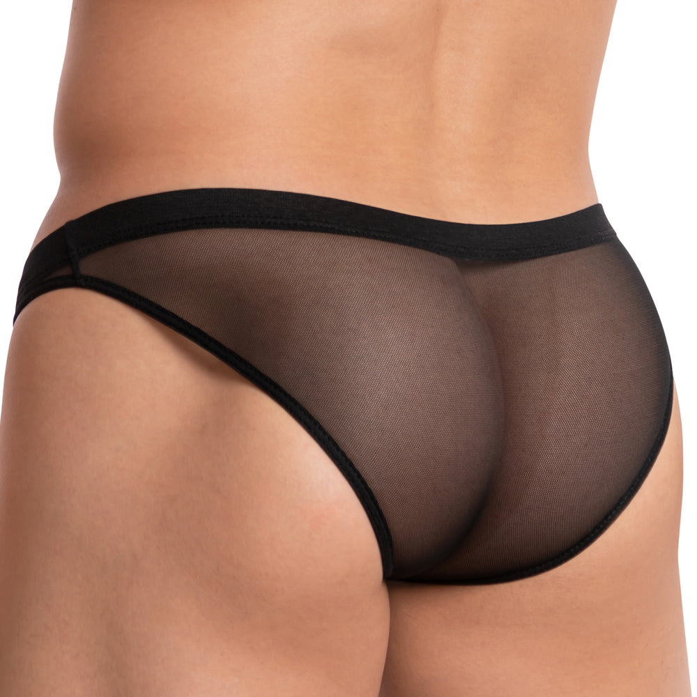 Hung HGJ016 Brief