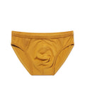 Brief