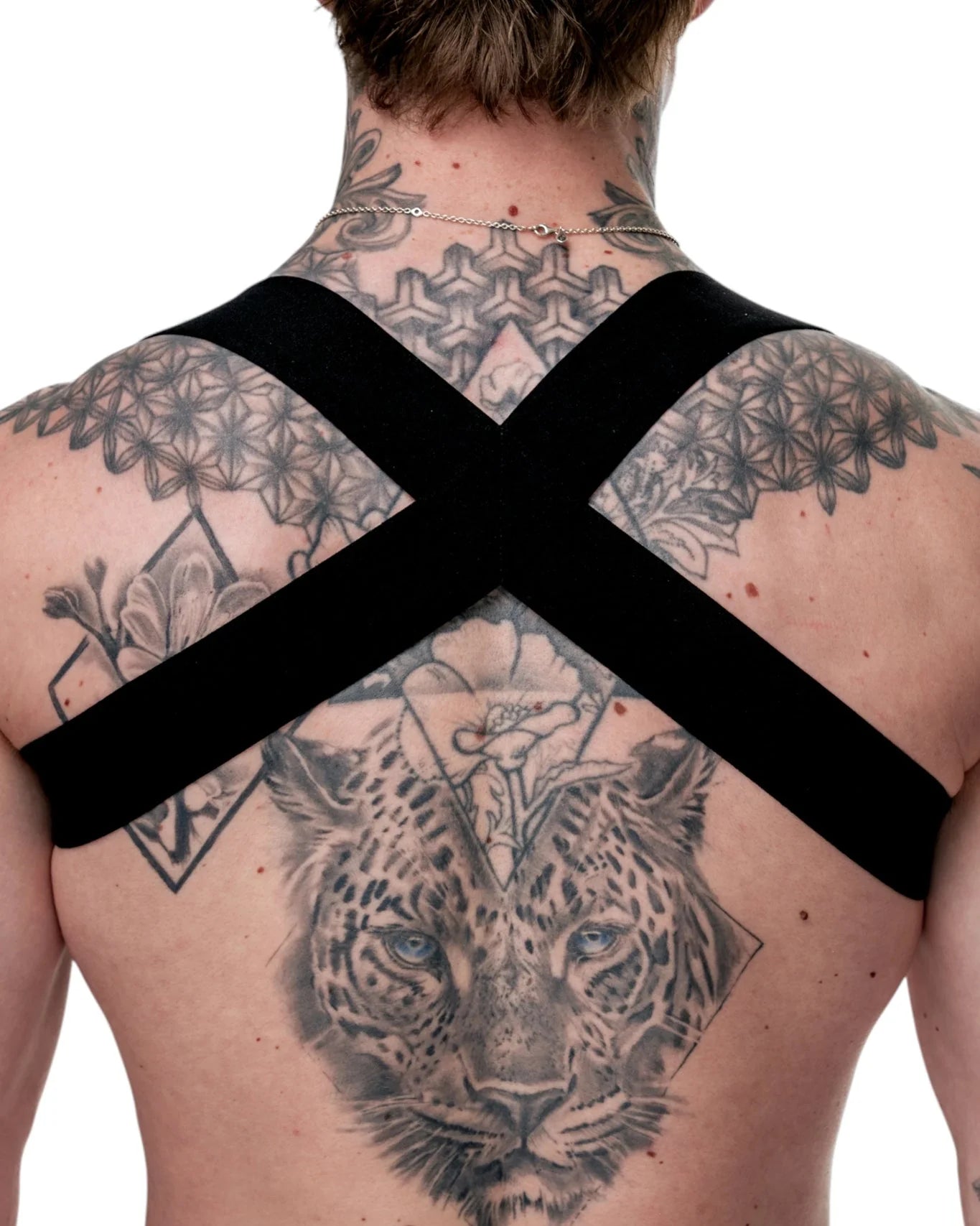 TASTE | Signature Harness Black